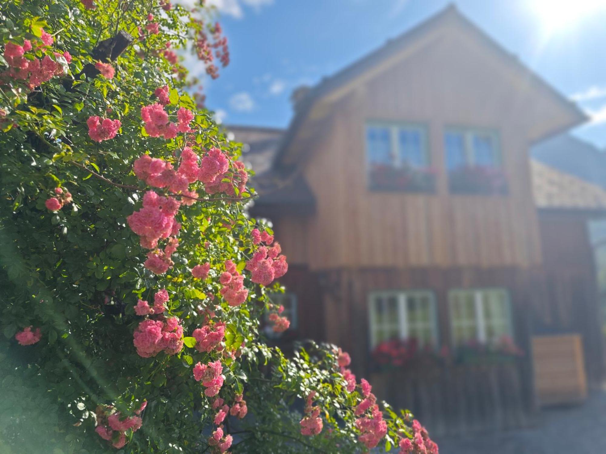 Lovely House With Mountain View & Big Garden In Bad Aussee Exterior foto